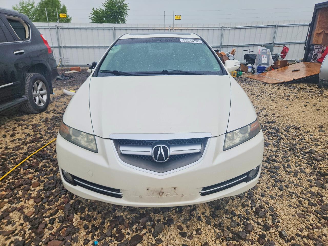 2008 Acura 3.2 Tl White vin: 19UUA66288A024161