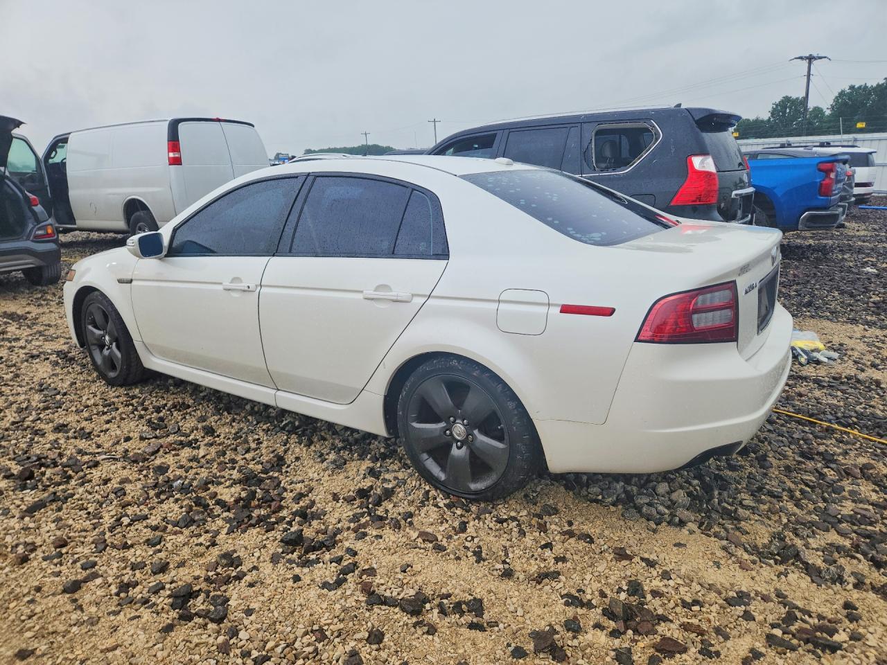 2008 Acura 3.2 Tl White vin: 19UUA66288A024161