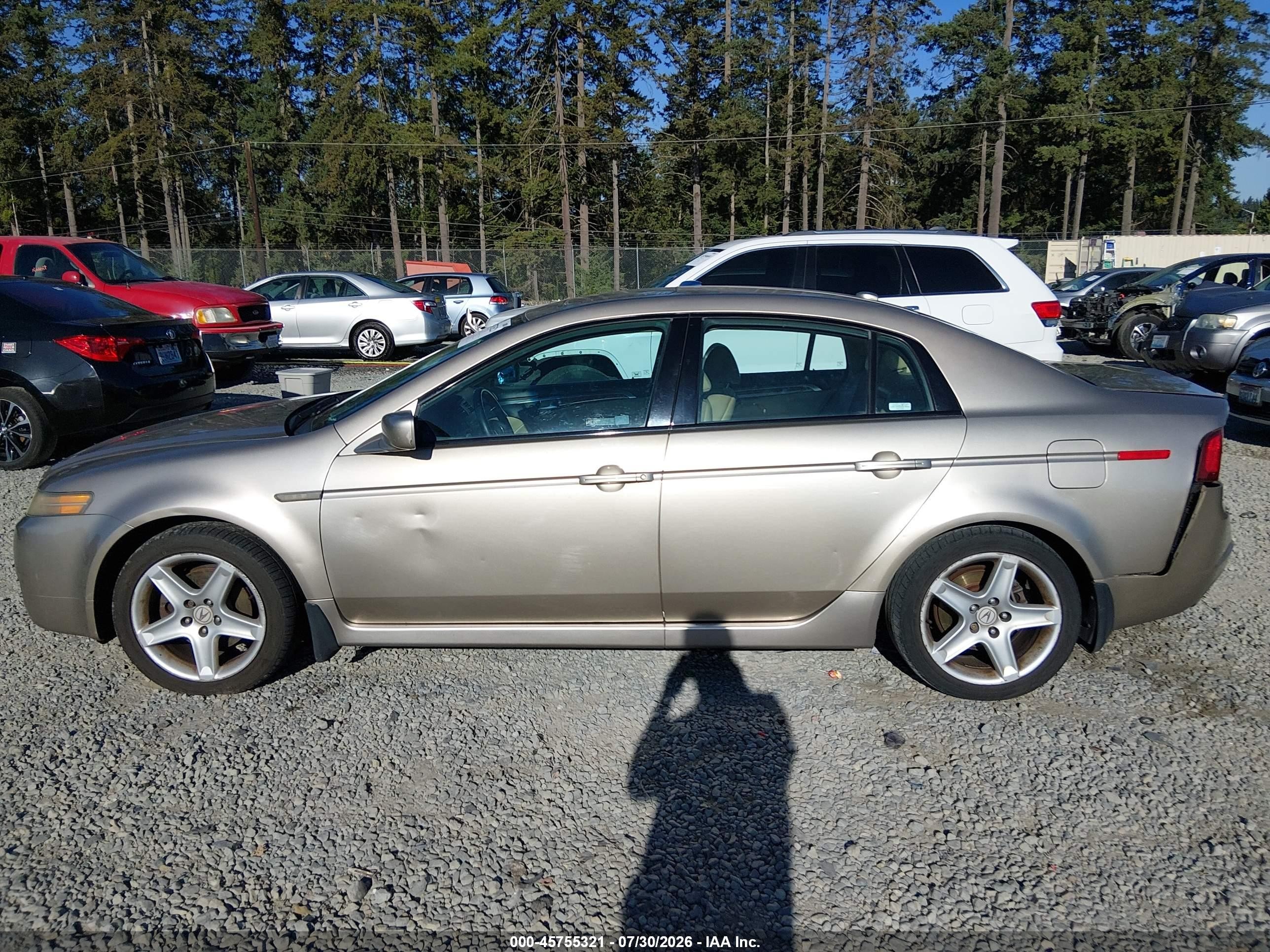 2004 Acura Tl   Beige vin: 19UUA66294A009274