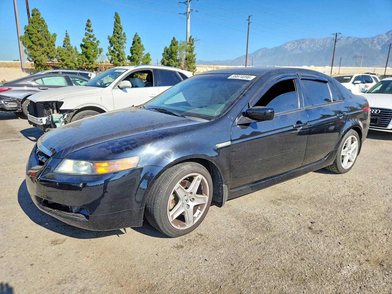 2005 Acura Tl Black vin: 19UUA66295A014489