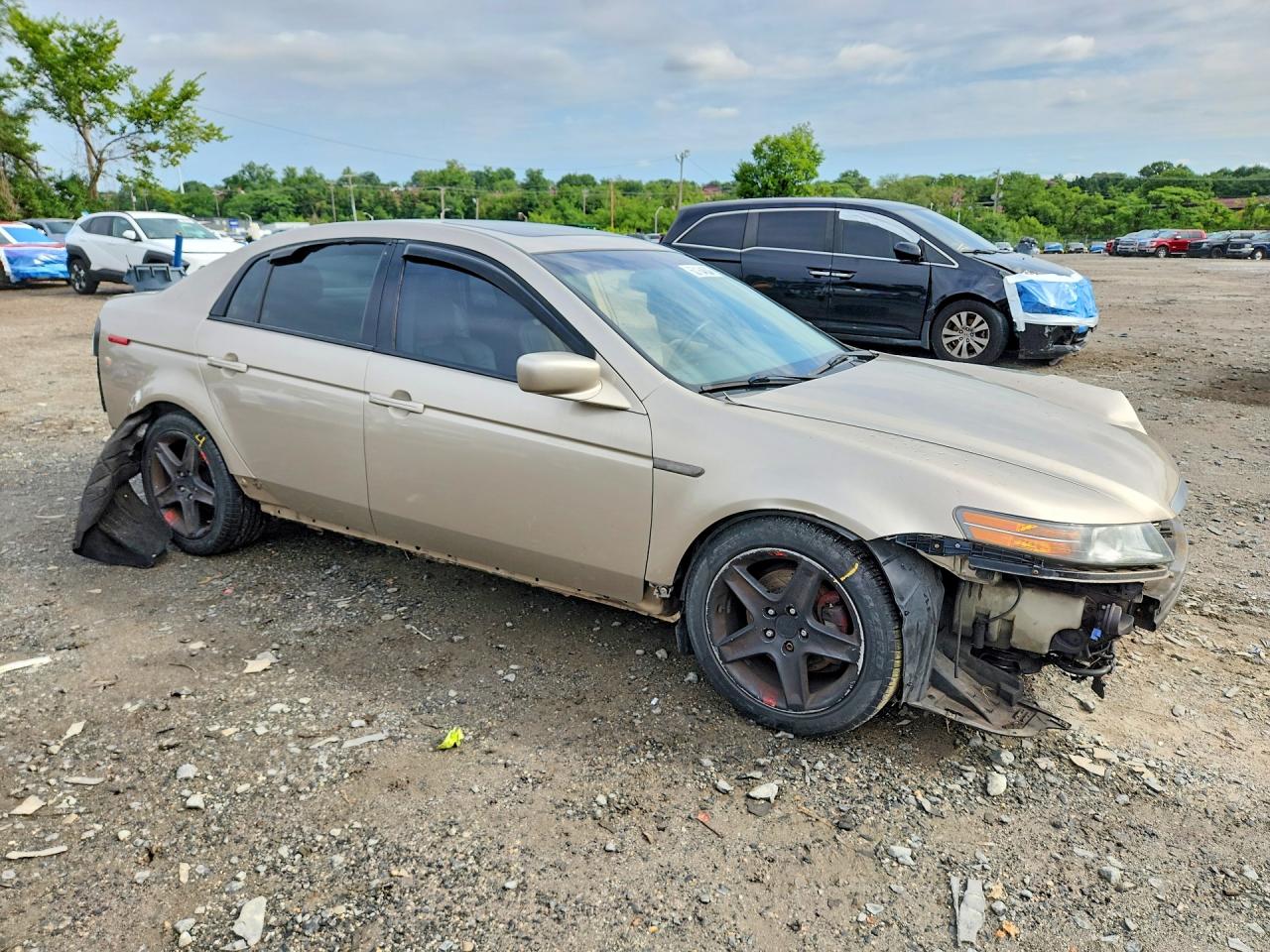2006 Acura 3.2tl Gold vin: 19UUA66296A014199