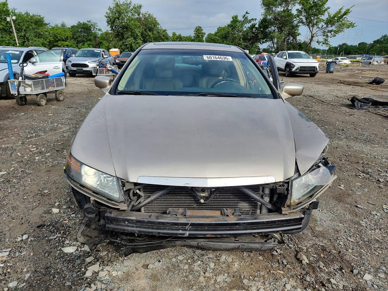 2006 Acura 3.2tl Gold vin: 19UUA66296A014199