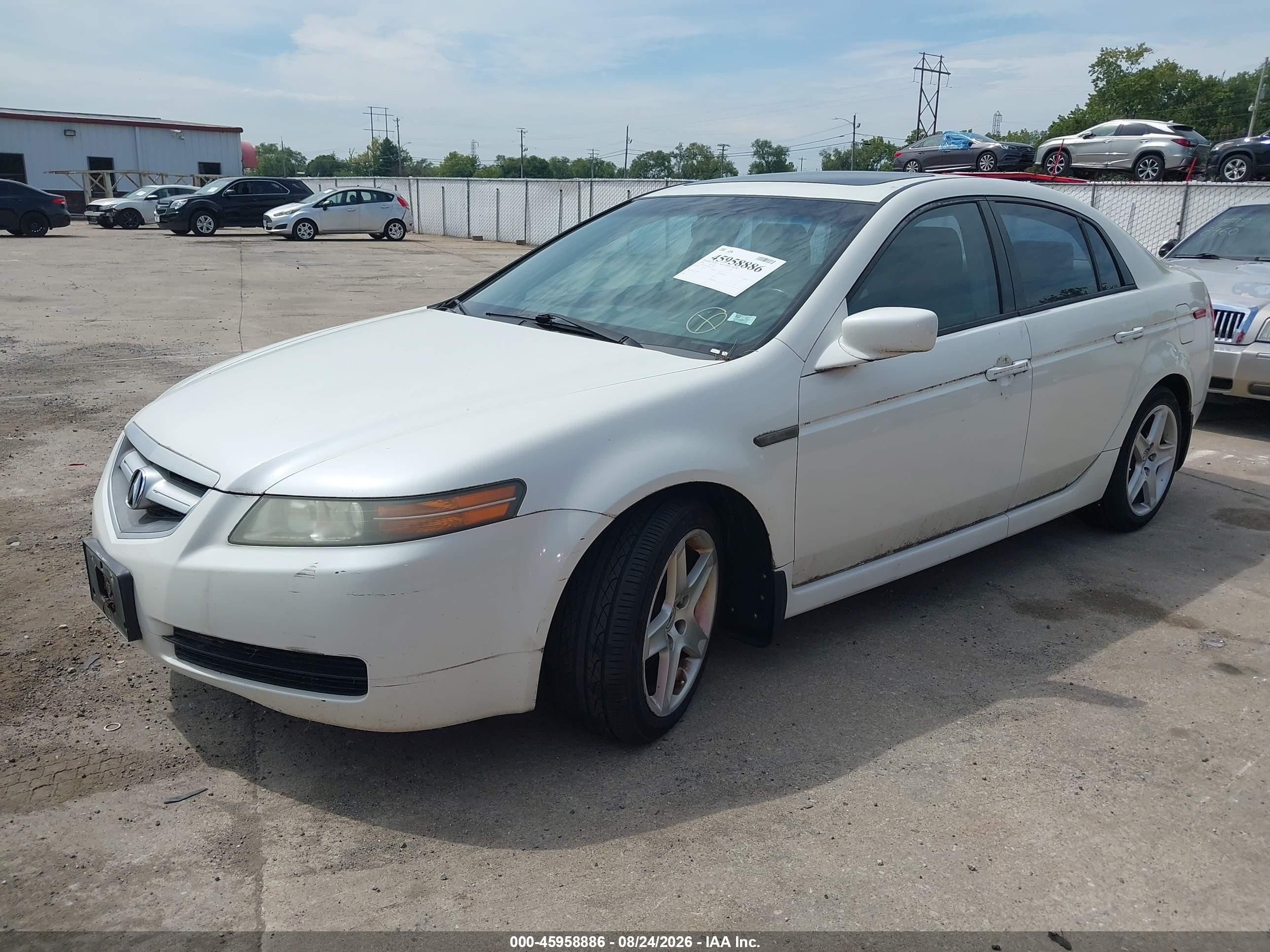2006 Acura Tl   Белый vin: 19UUA66296A031357