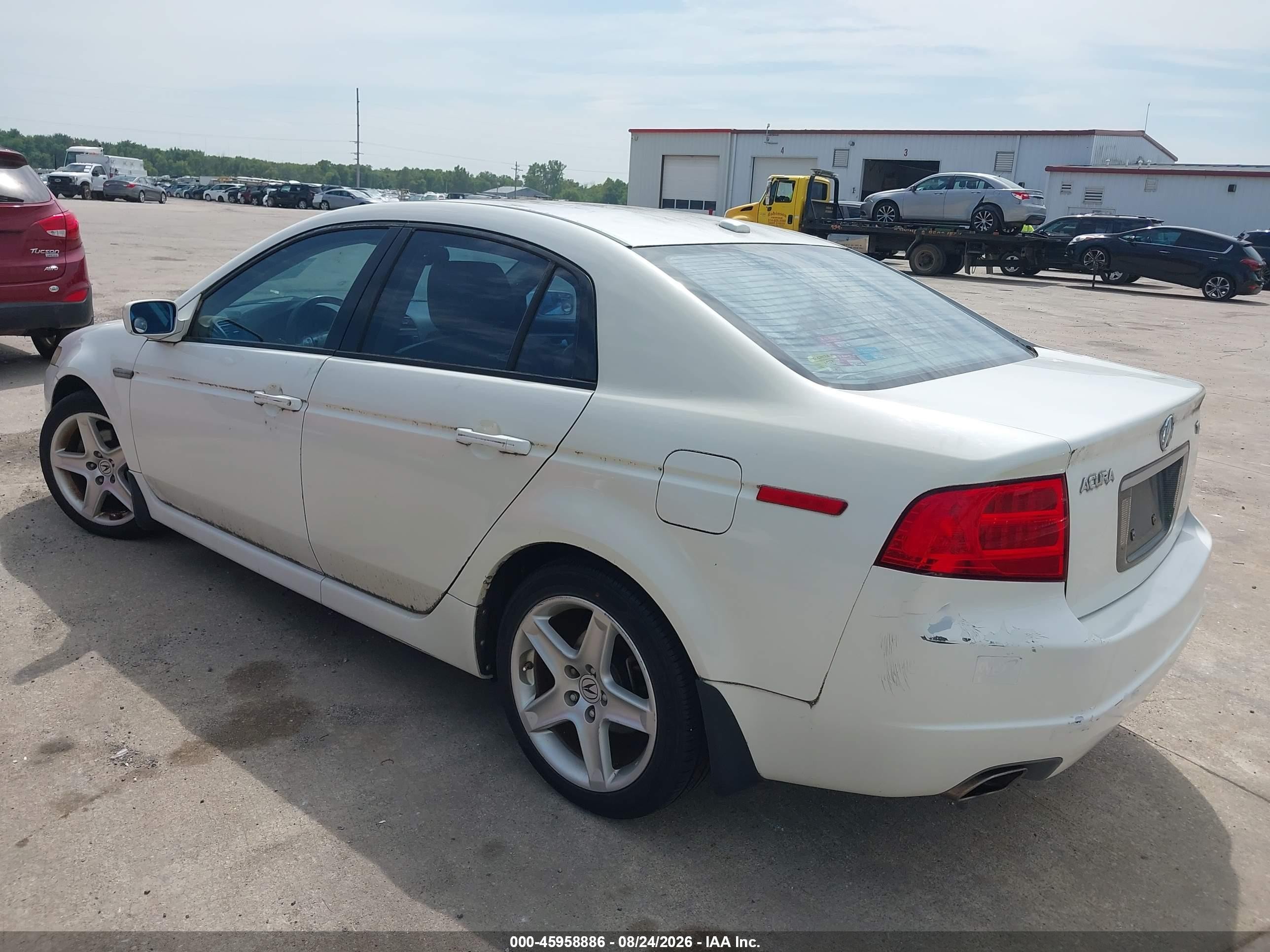 2006 Acura Tl   Белый vin: 19UUA66296A031357