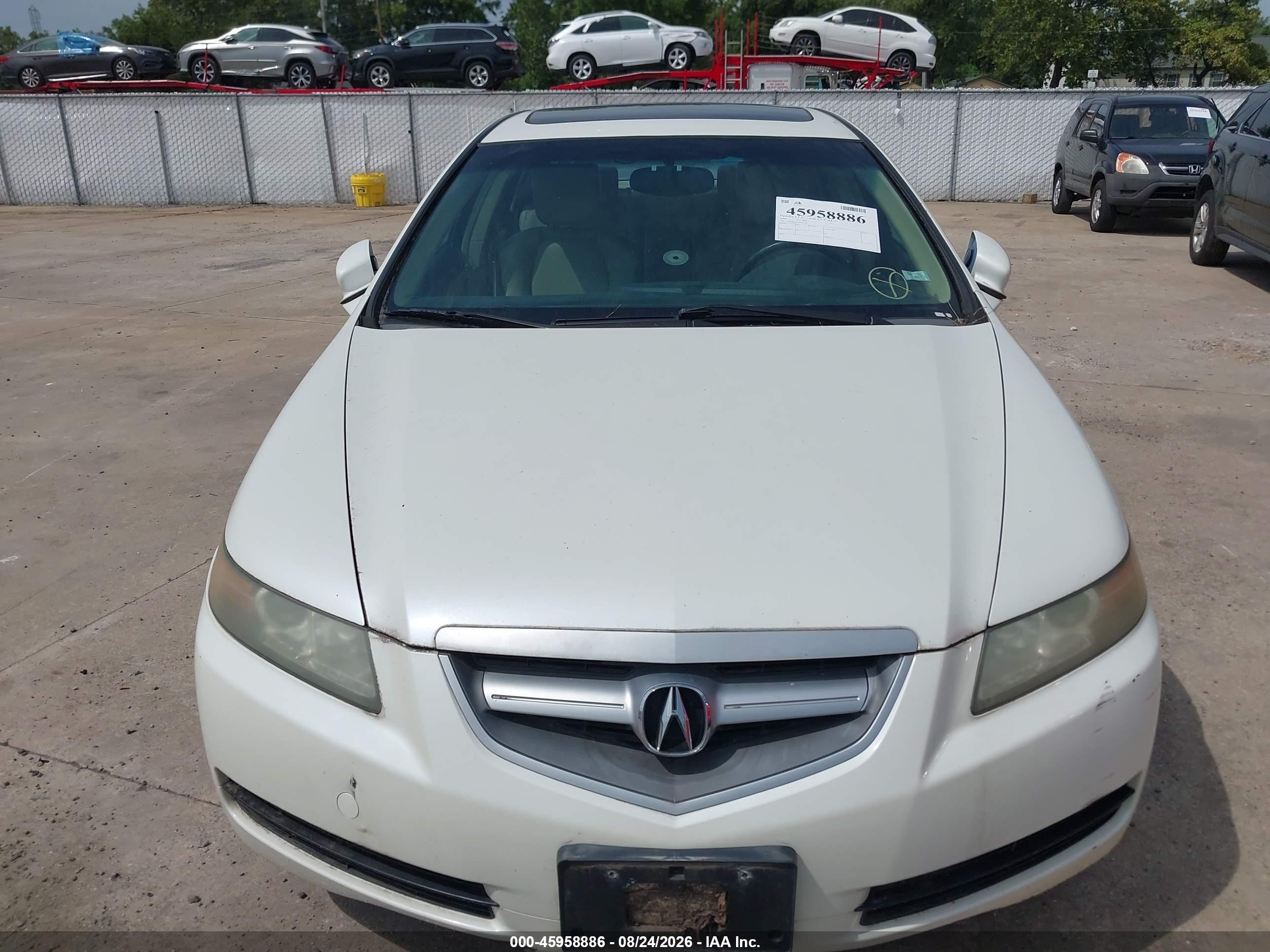 2006 Acura Tl   Белый vin: 19UUA66296A031357