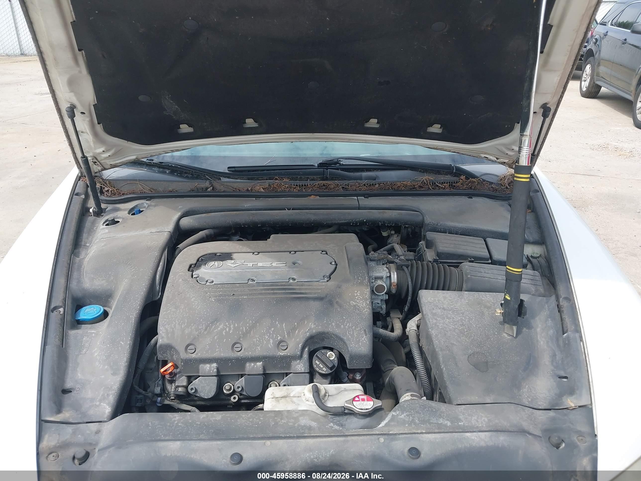 2006 Acura Tl   Белый vin: 19UUA66296A031357