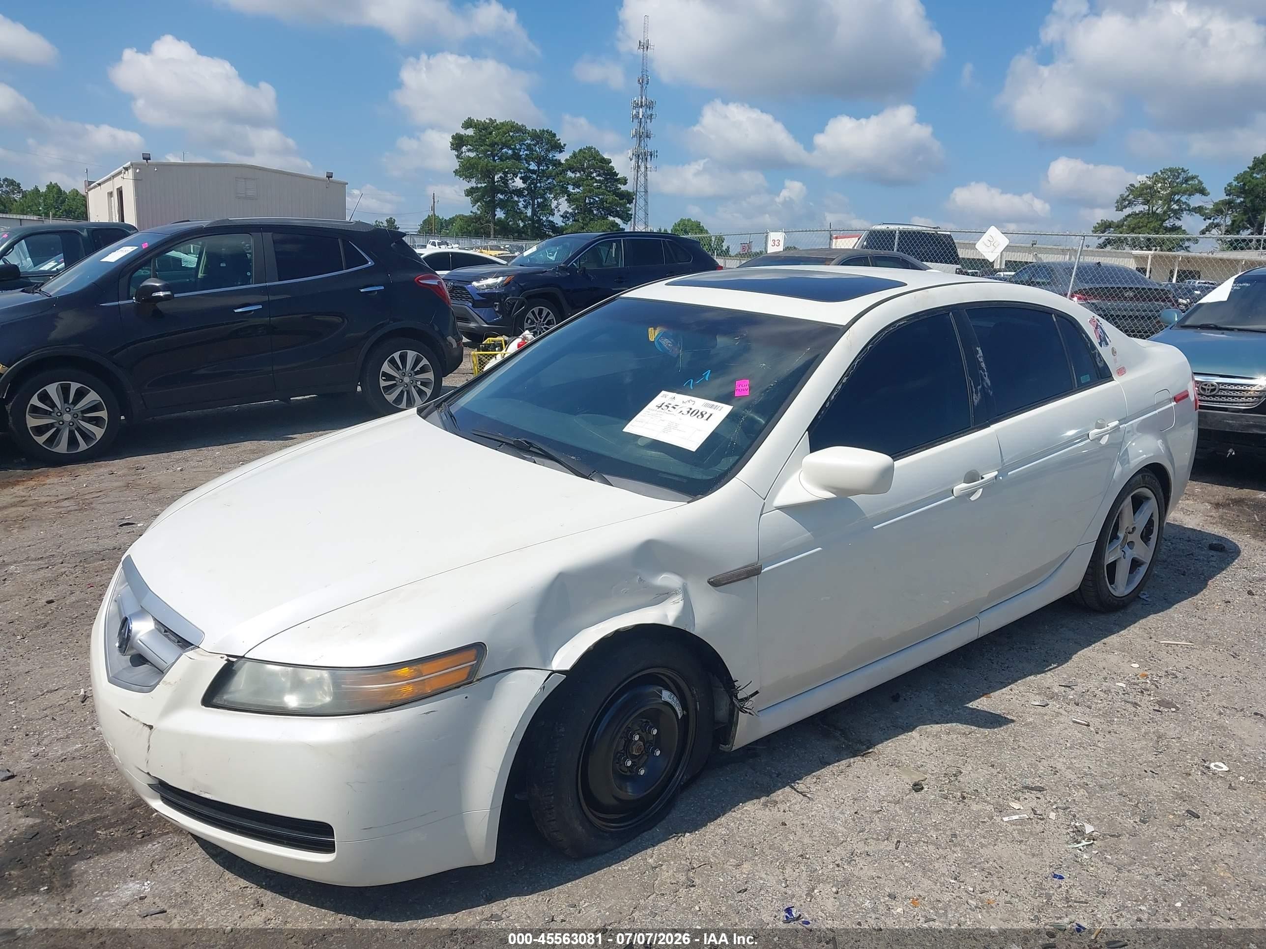 2006 Acura Tl   Белый vin: 19UUA66296A057246