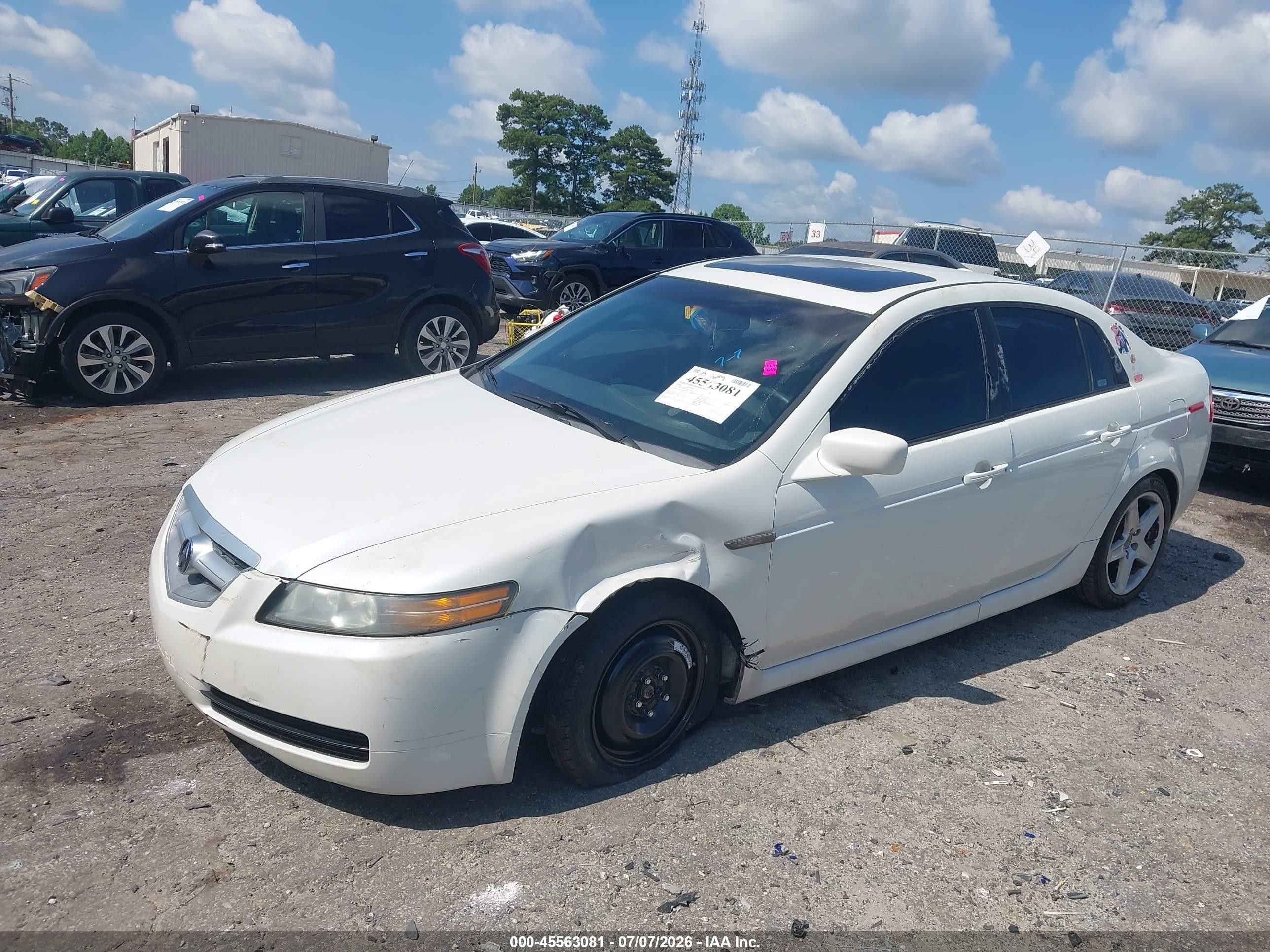 2006 Acura Tl   Белый vin: 19UUA66296A057246