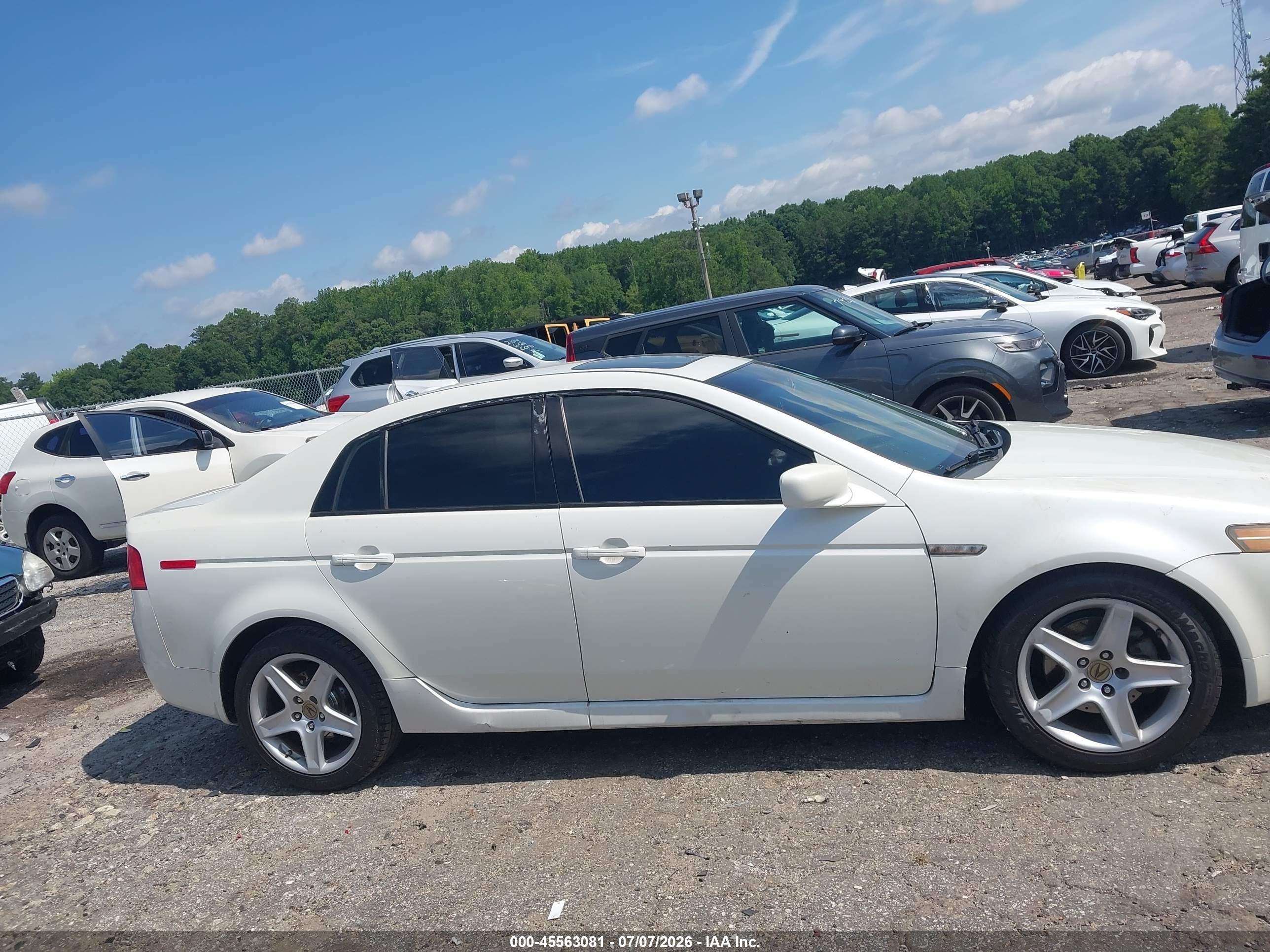2006 Acura Tl   Белый vin: 19UUA66296A057246