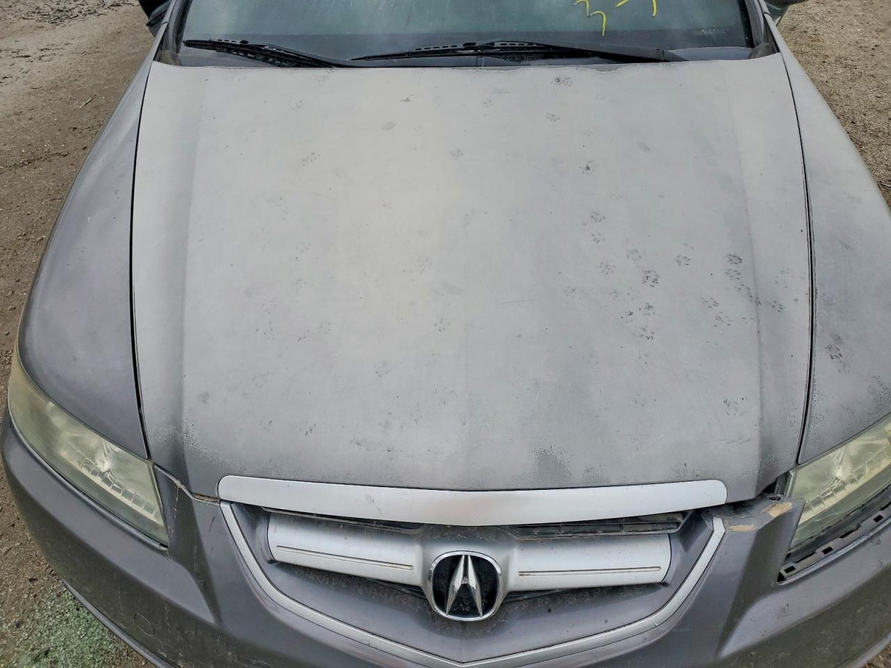 2004 Acura Tl Gray vin: 19UUA662X4A042123
