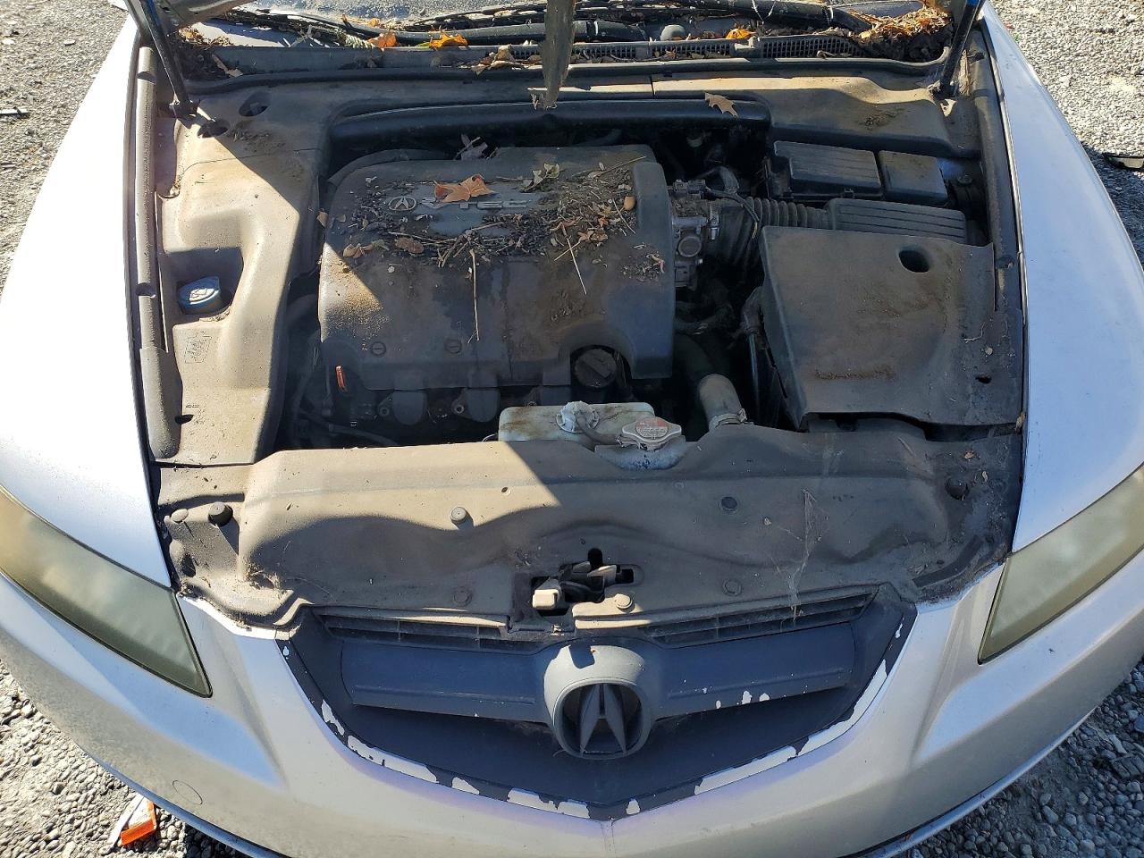 2006 Acura 3.2tl Серебряный vin: 19UUA662X6A051701