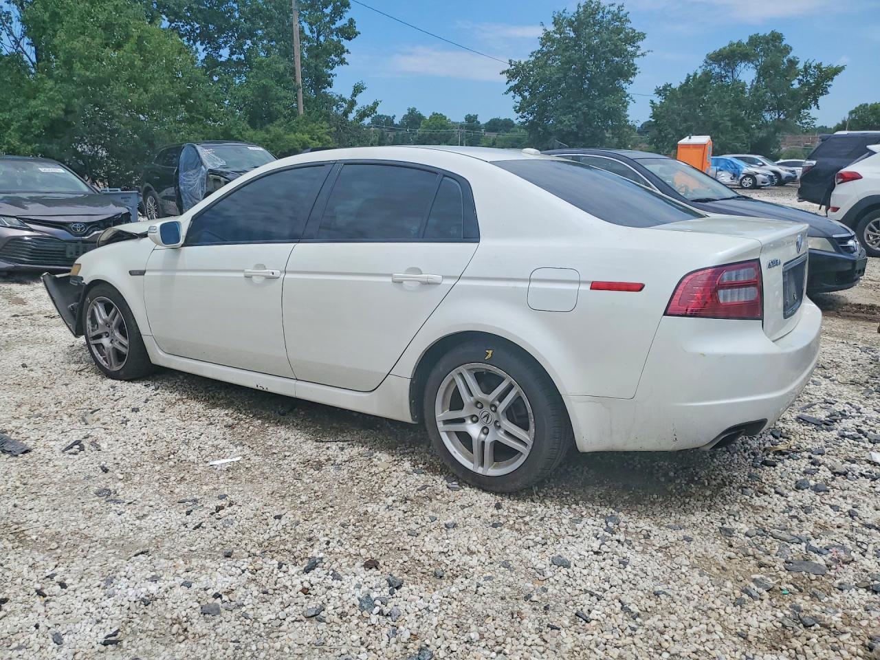 2008 Acura Tl White vin: 19UUA662X8A014358