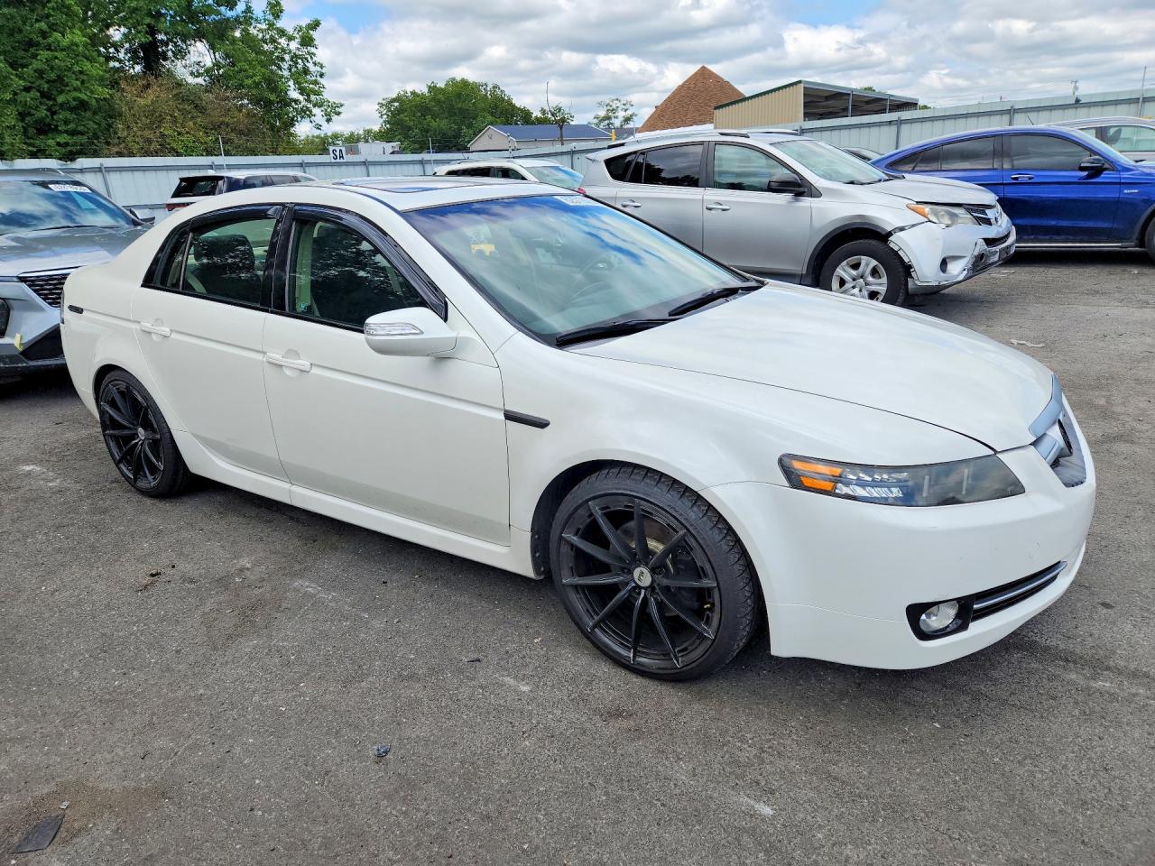 2008 Acura Tl White vin: 19UUA662X8A049031