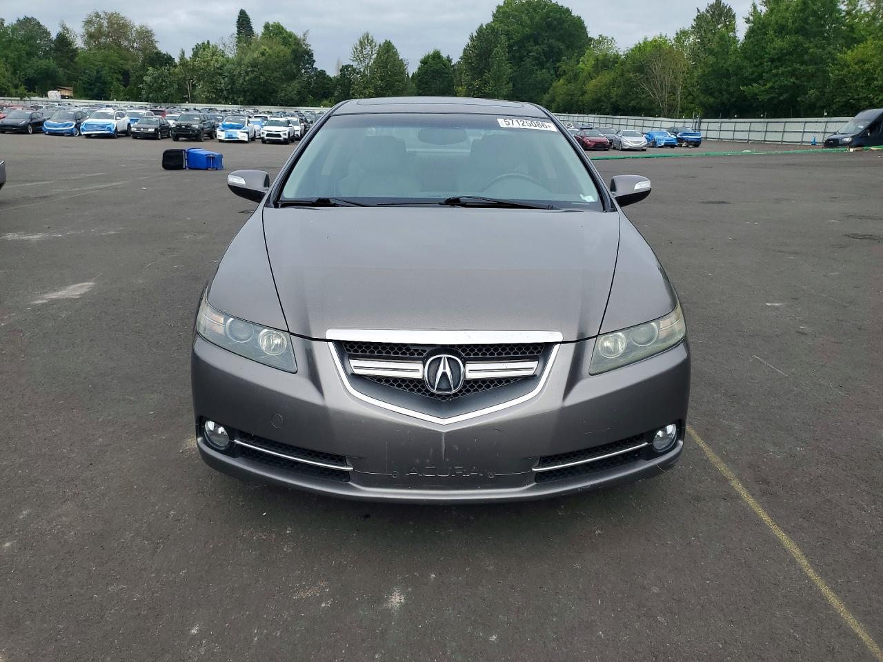 2008 Acura Tl Type S Gray vin: 19UUA75568A005951