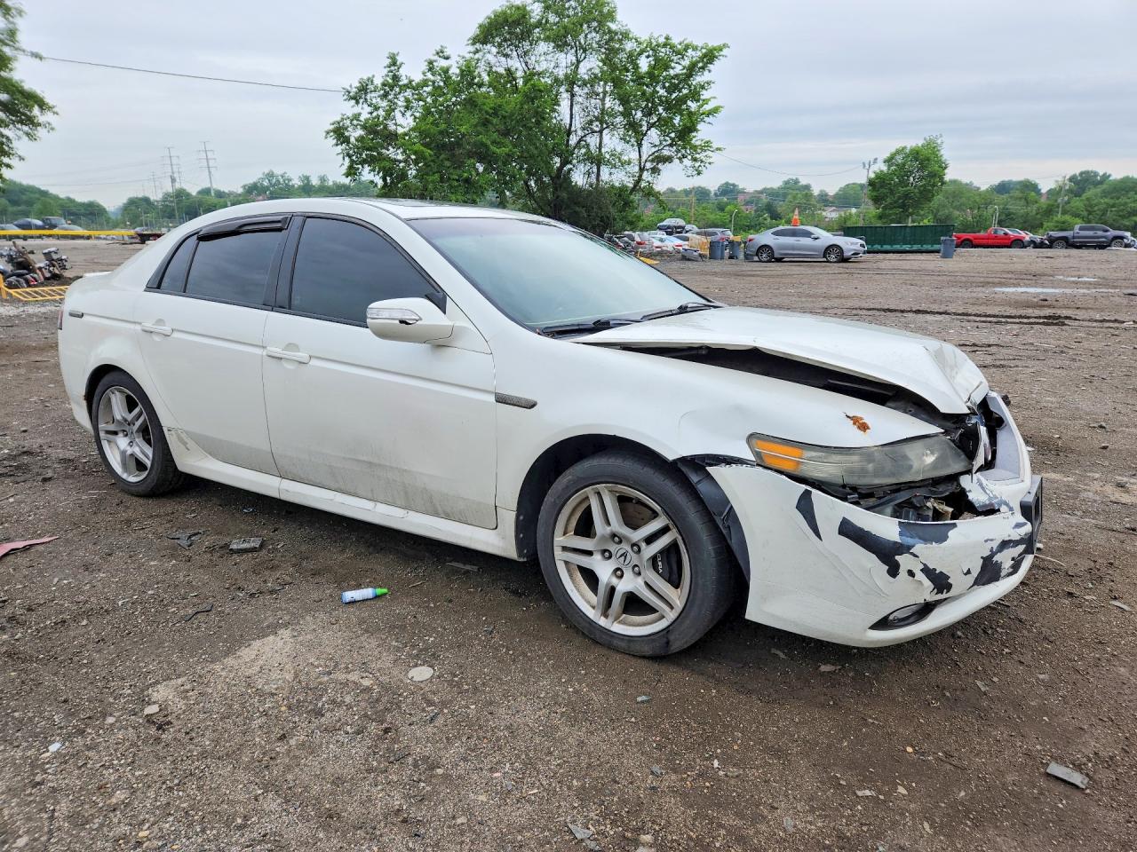 2008 Acura Tl White vin: 19UUA76568A021534
