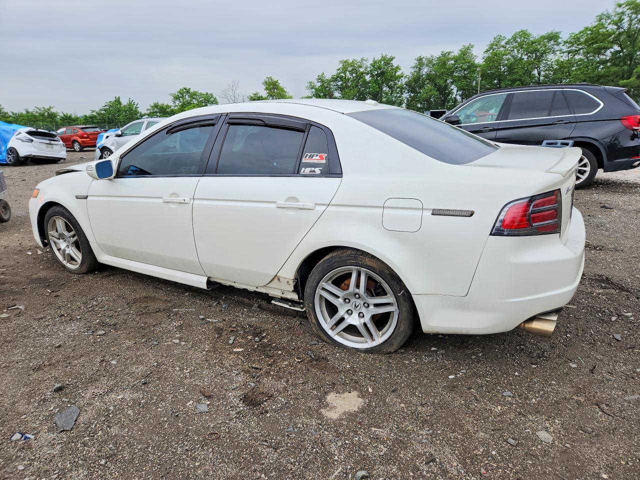 2008 Acura Tl White vin: 19UUA76568A021534