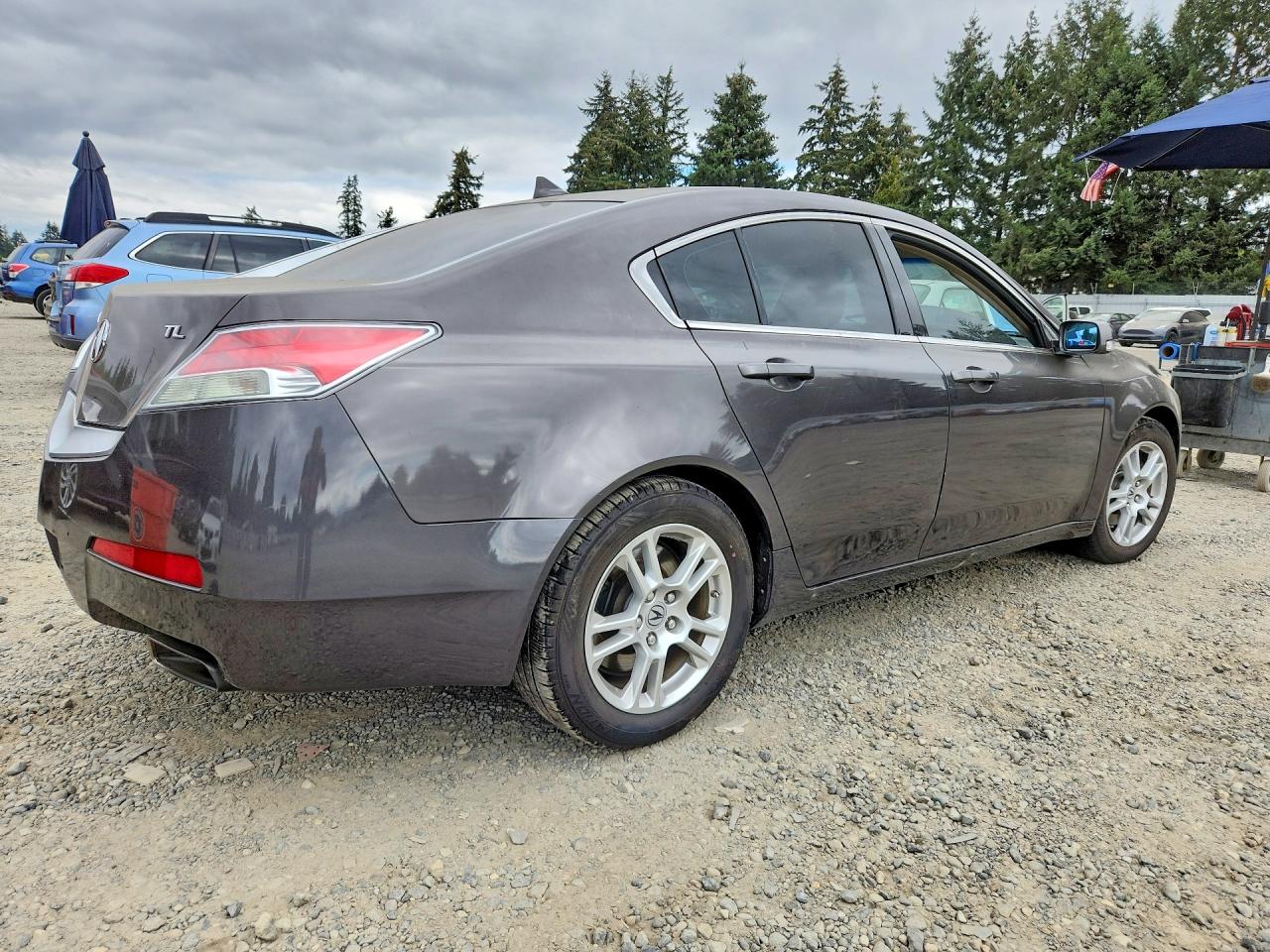 2009 Acura Tl Gray vin: 19UUA86219A016559