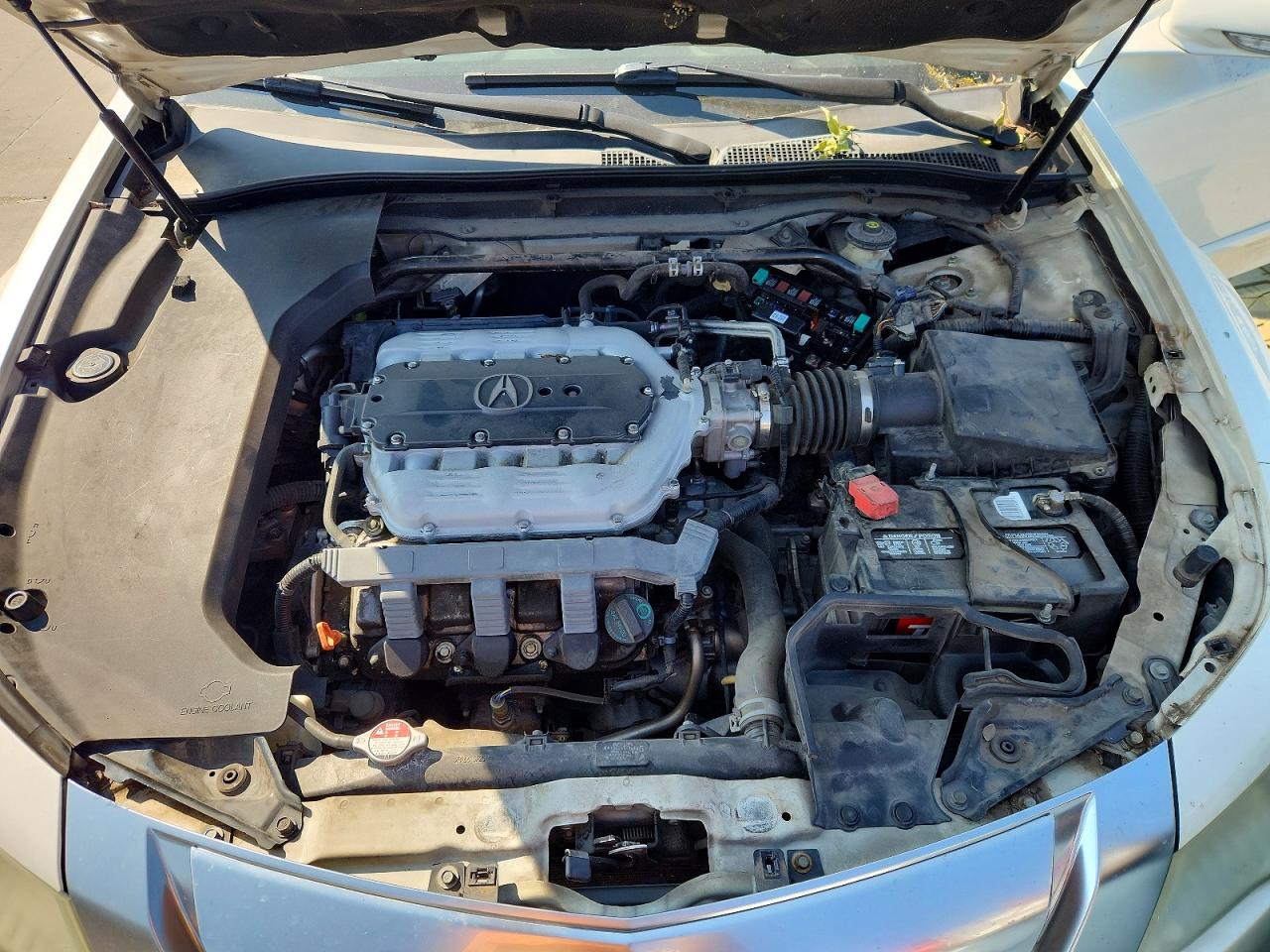 2009 Acura Tl White vin: 19UUA86299A000495