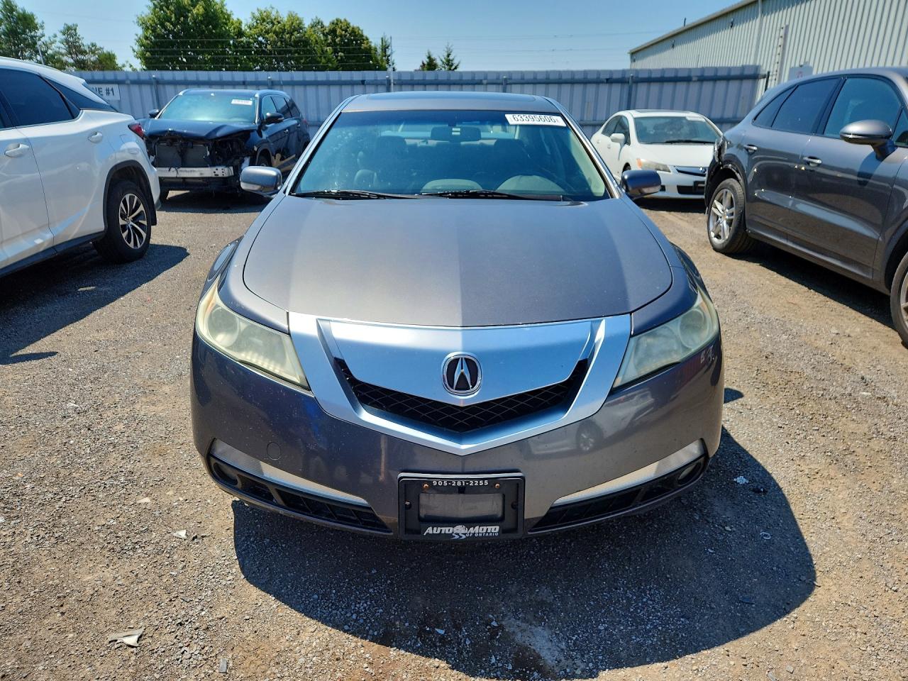 2009 Acura Tl Gray vin: 19UUA862X9A800481