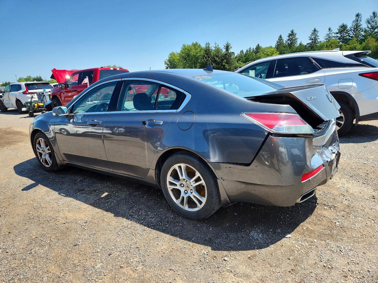 2009 Acura Tl Gray vin: 19UUA862X9A800481