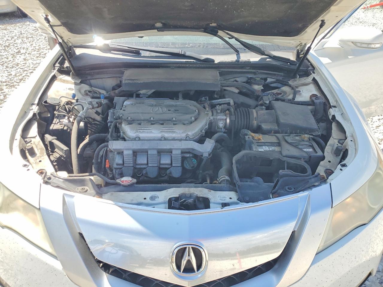 2009 Acura Tl White vin: 19UUA86519A011419