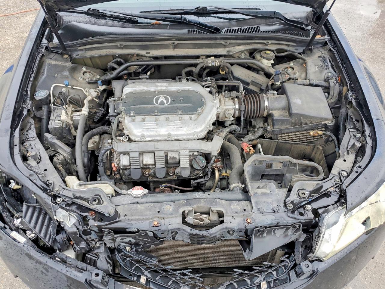 2009 Acura Tl Черный vin: 19UUA86539A026455