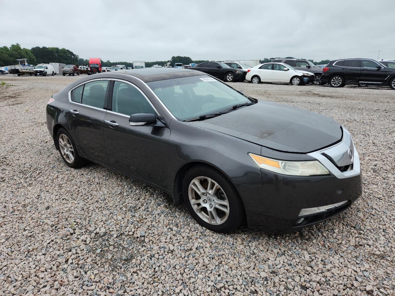2009 Acura Tl Gray vin: 19UUA86559A013397