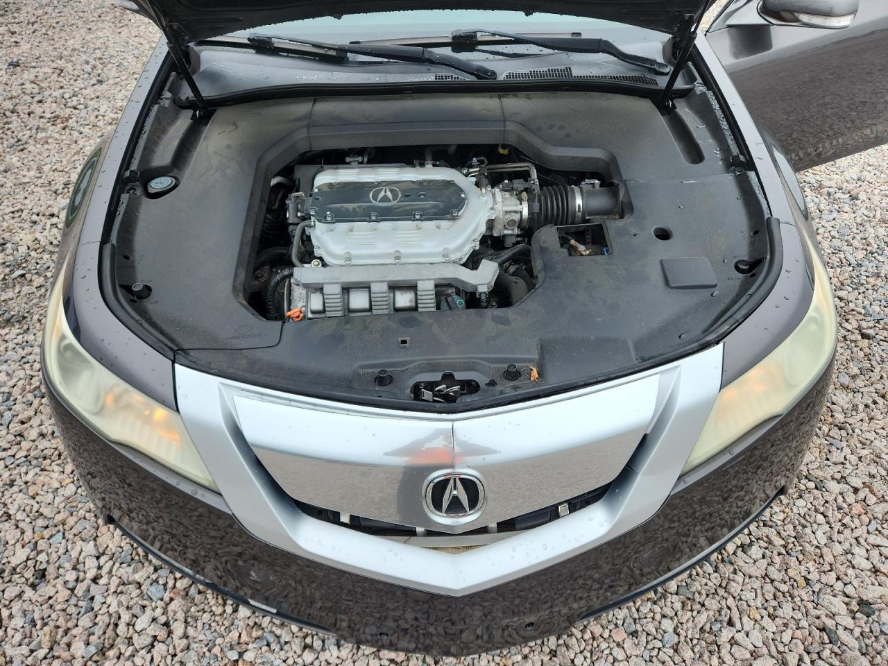 2009 Acura Tl Gray vin: 19UUA86559A013397