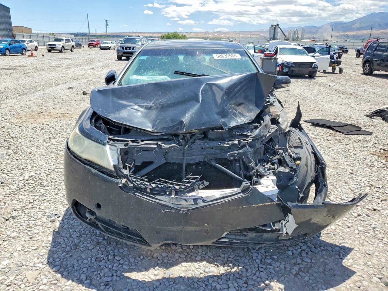 2009 Acura Tl Black vin: 19UUA86569A004997