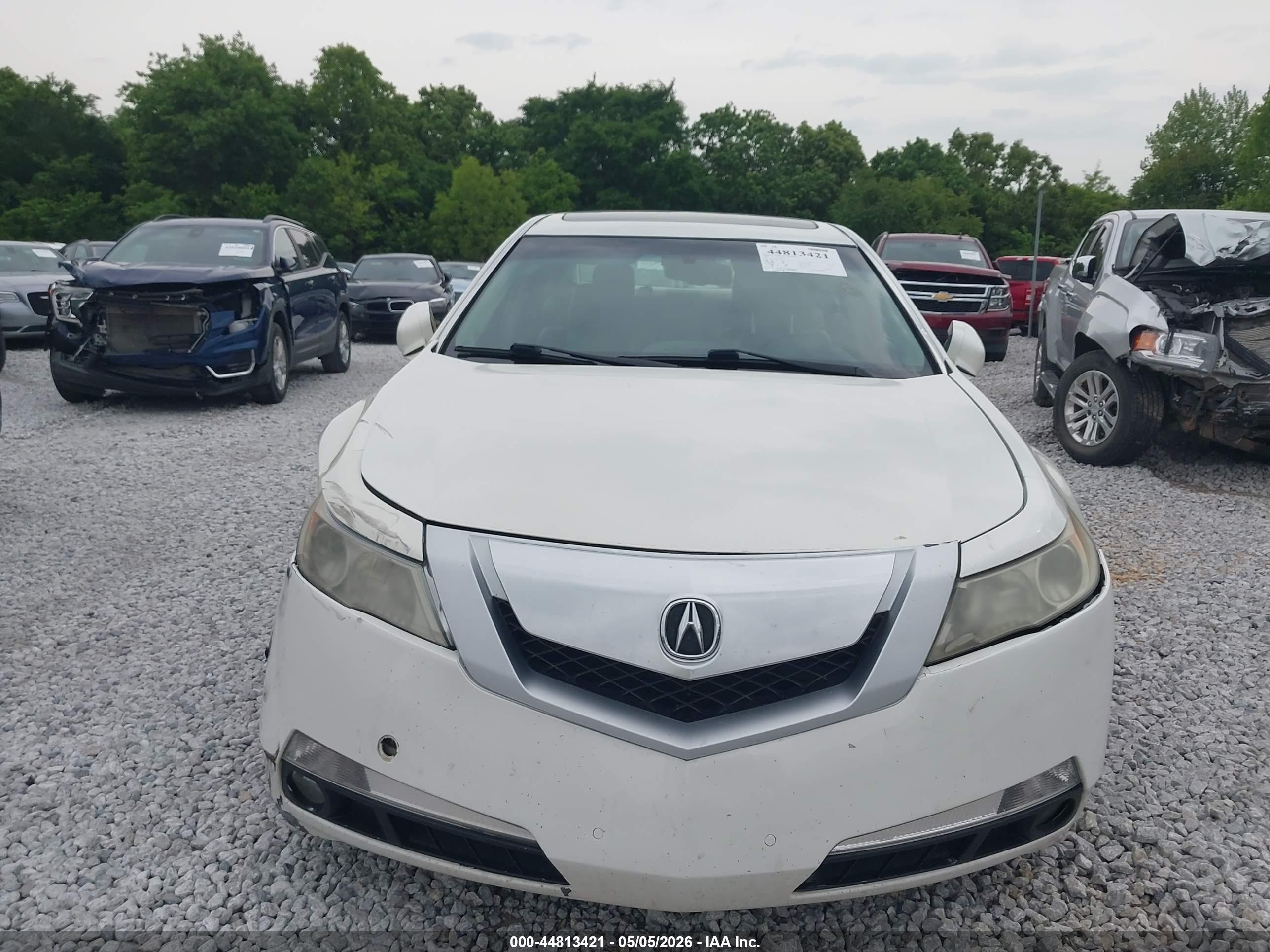 2009 Acura Tl 3.5 White vin: 19UUA86569A007267
