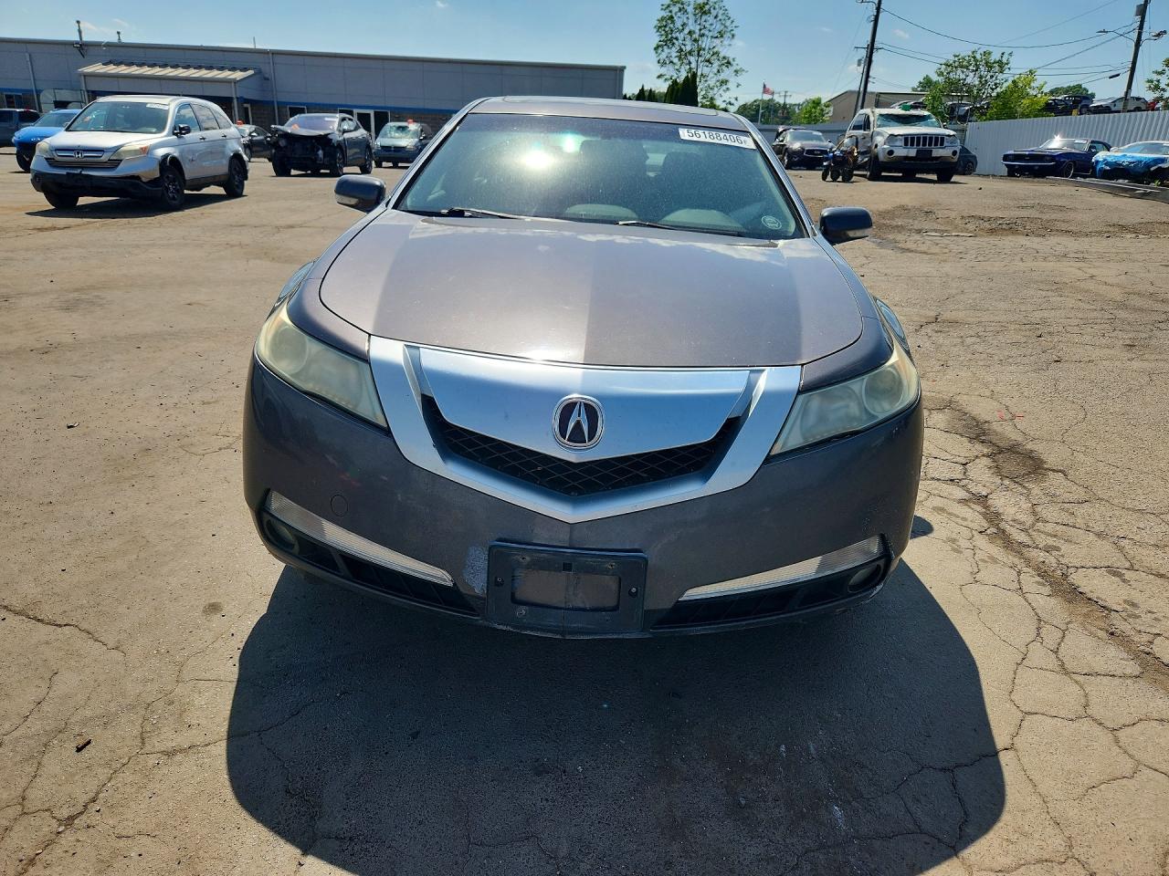 2010 Acura Tl Gray vin: 19UUA8F20AA021563