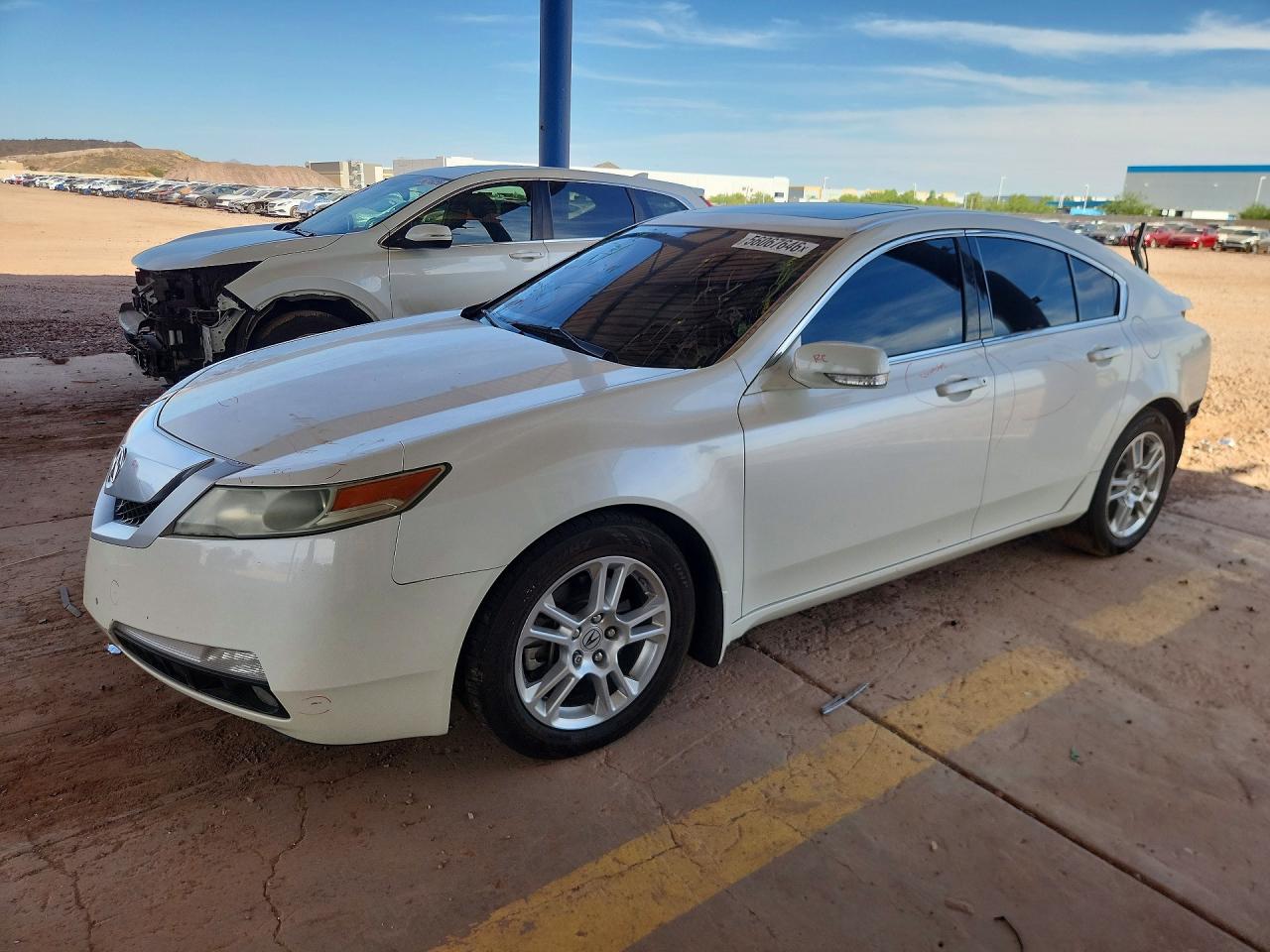 2010 Acura Tl White vin: 19UUA8F22AA011861