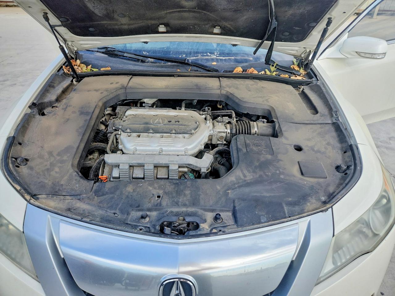 2010 Acura Tl White vin: 19UUA8F23AA015675