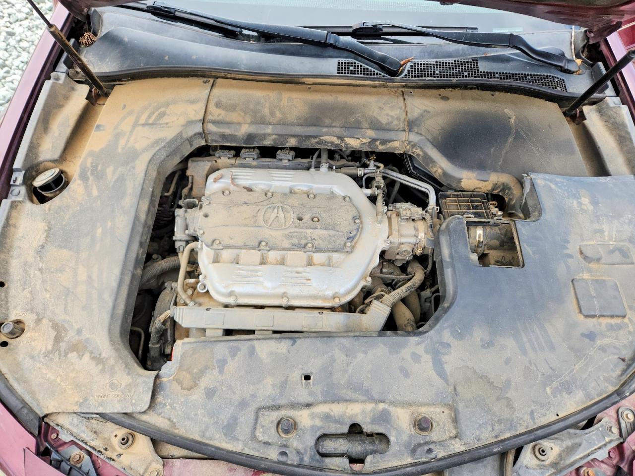 2013 Acura Tl Burgundy vin: 19UUA8F23DA001327