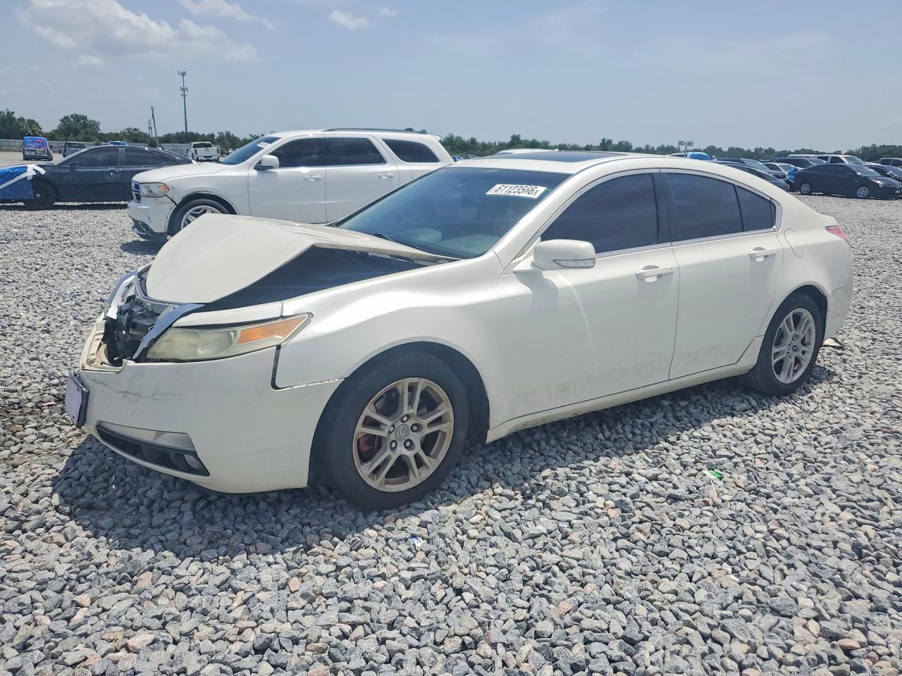 2011 Acura Tl White vin: 19UUA8F26BA003232