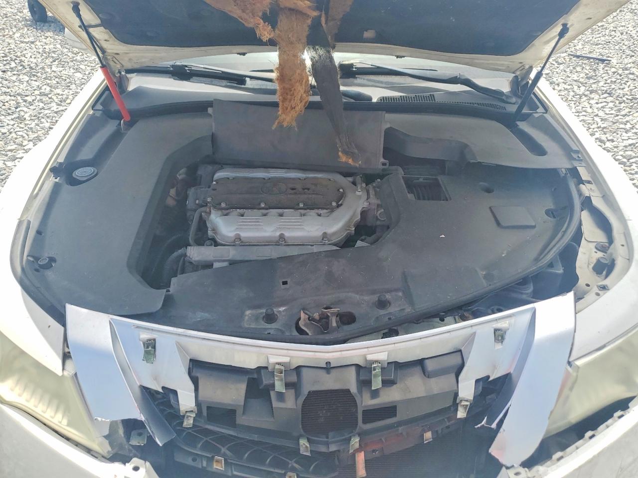 2011 Acura Tl White vin: 19UUA8F26BA003232