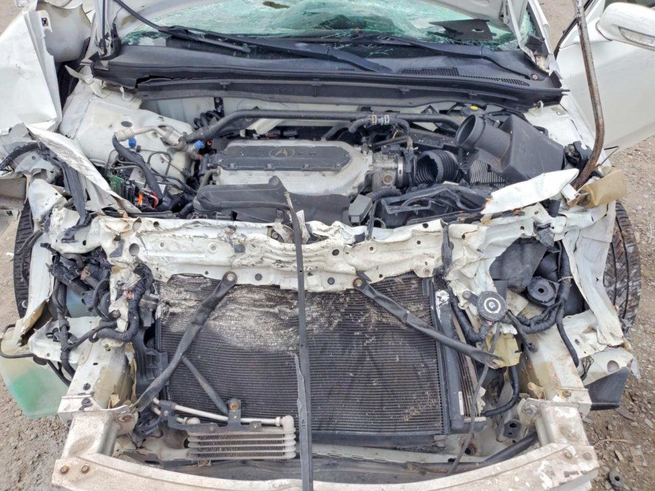 2013 Acura Tl White vin: 19UUA8F27DA017580