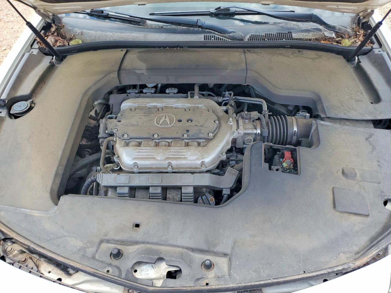 2013 Acura Tl Se White vin: 19UUA8F33DA018296