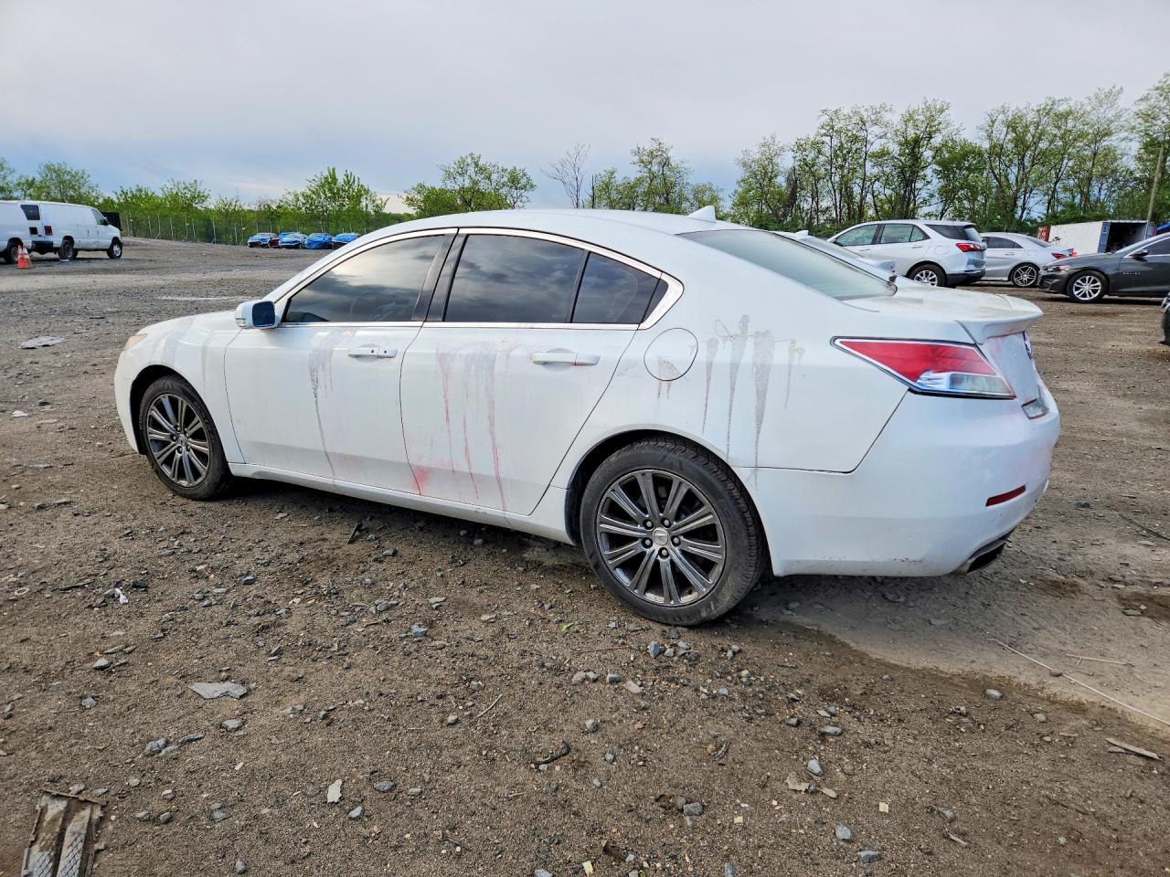 2014 Acura Tl Se Белый vin: 19UUA8F3XEA003280