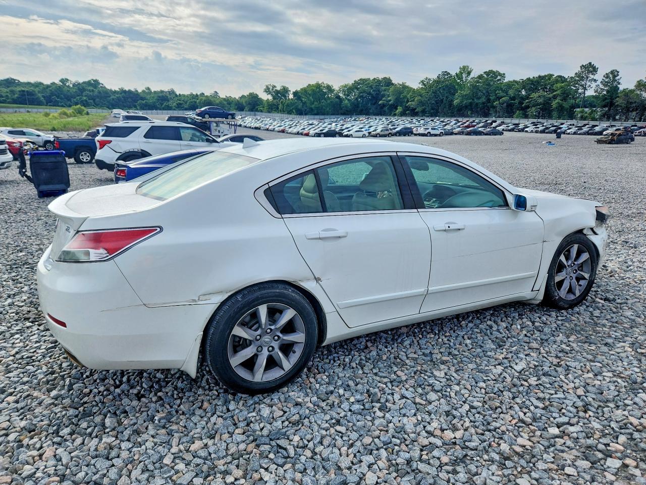 2012 Acura Tl White vin: 19UUA8F50CA015615