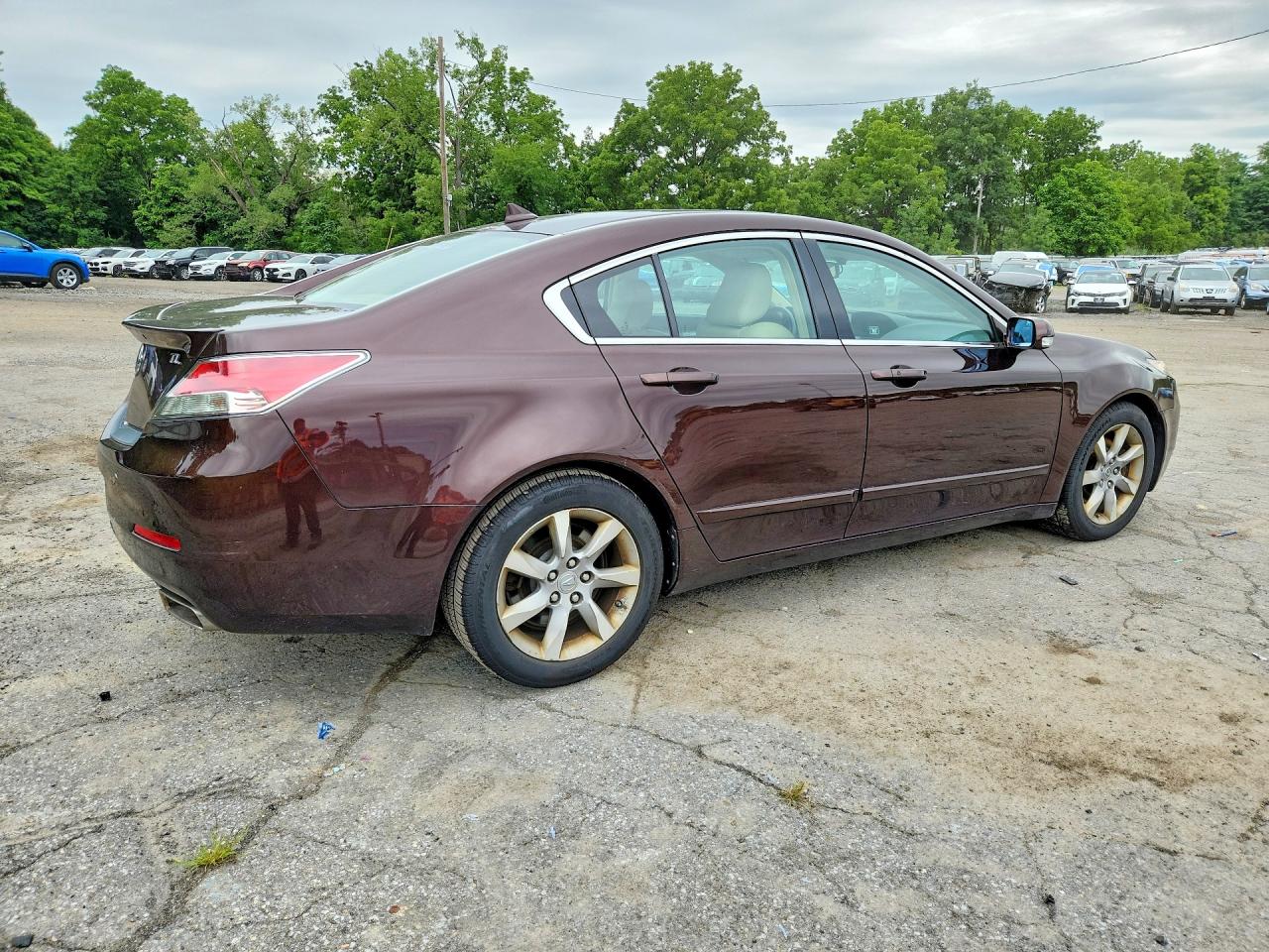 2012 Acura Tl Brown vin: 19UUA8F53CA007461