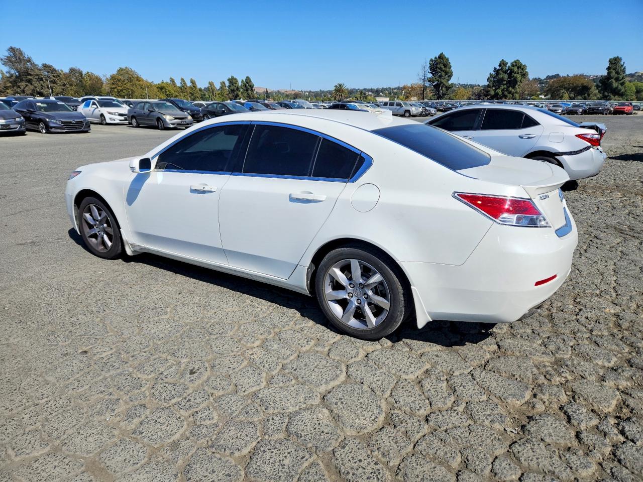2012 Acura Tl White vin: 19UUA8F57CA009469