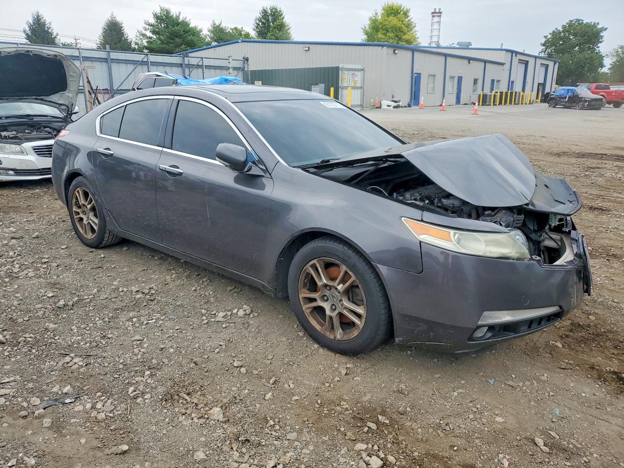 2010 Acura Tl Серый vin: 19UUA8F58AA023345