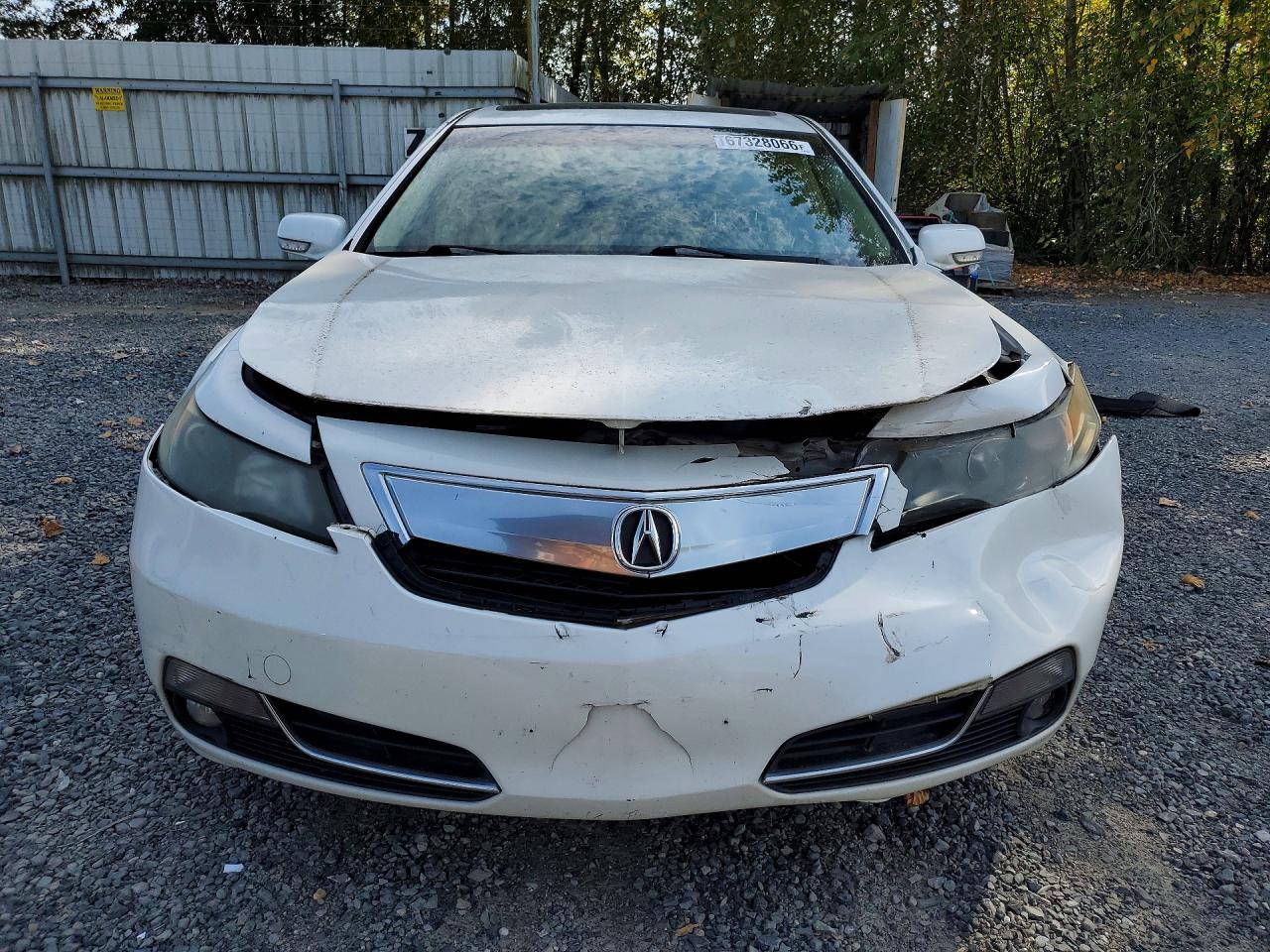 2012 Acura Tl White vin: 19UUA8F75CA004191