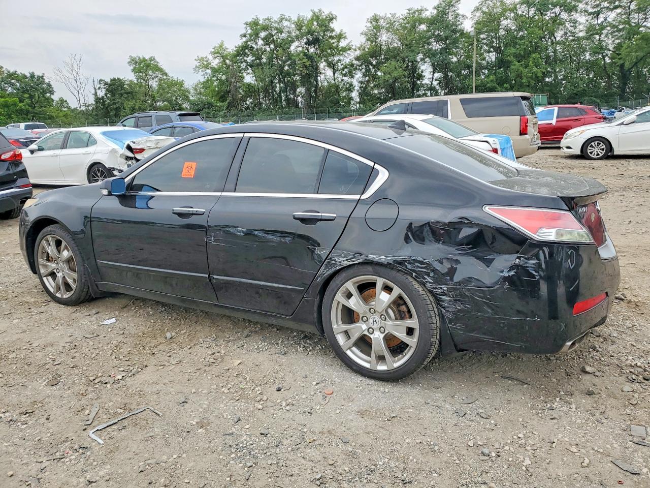 2009 Acura Tl Black vin: 19UUA96539A003084