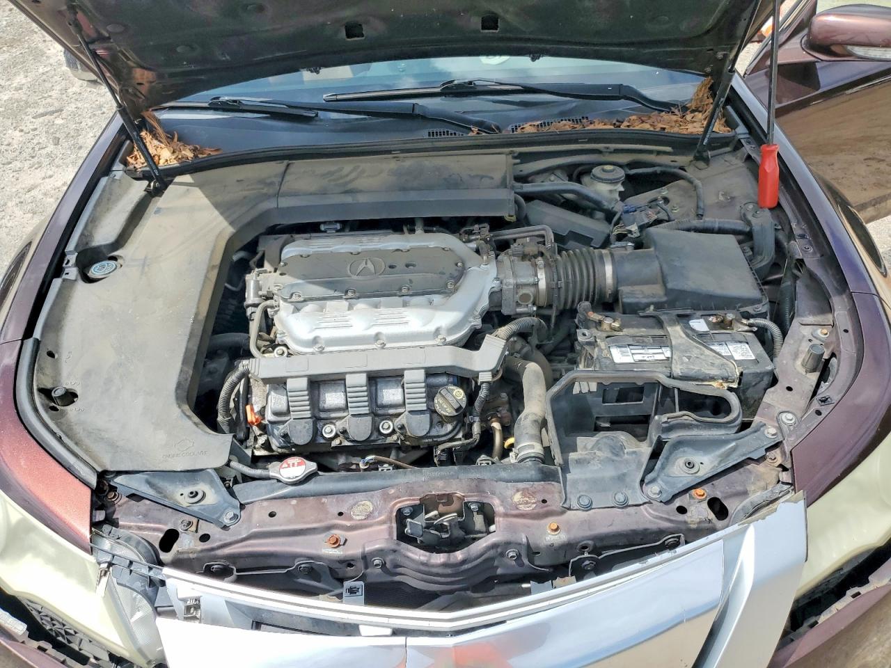 2009 Acura Tl Brown vin: 19UUA96599A005583