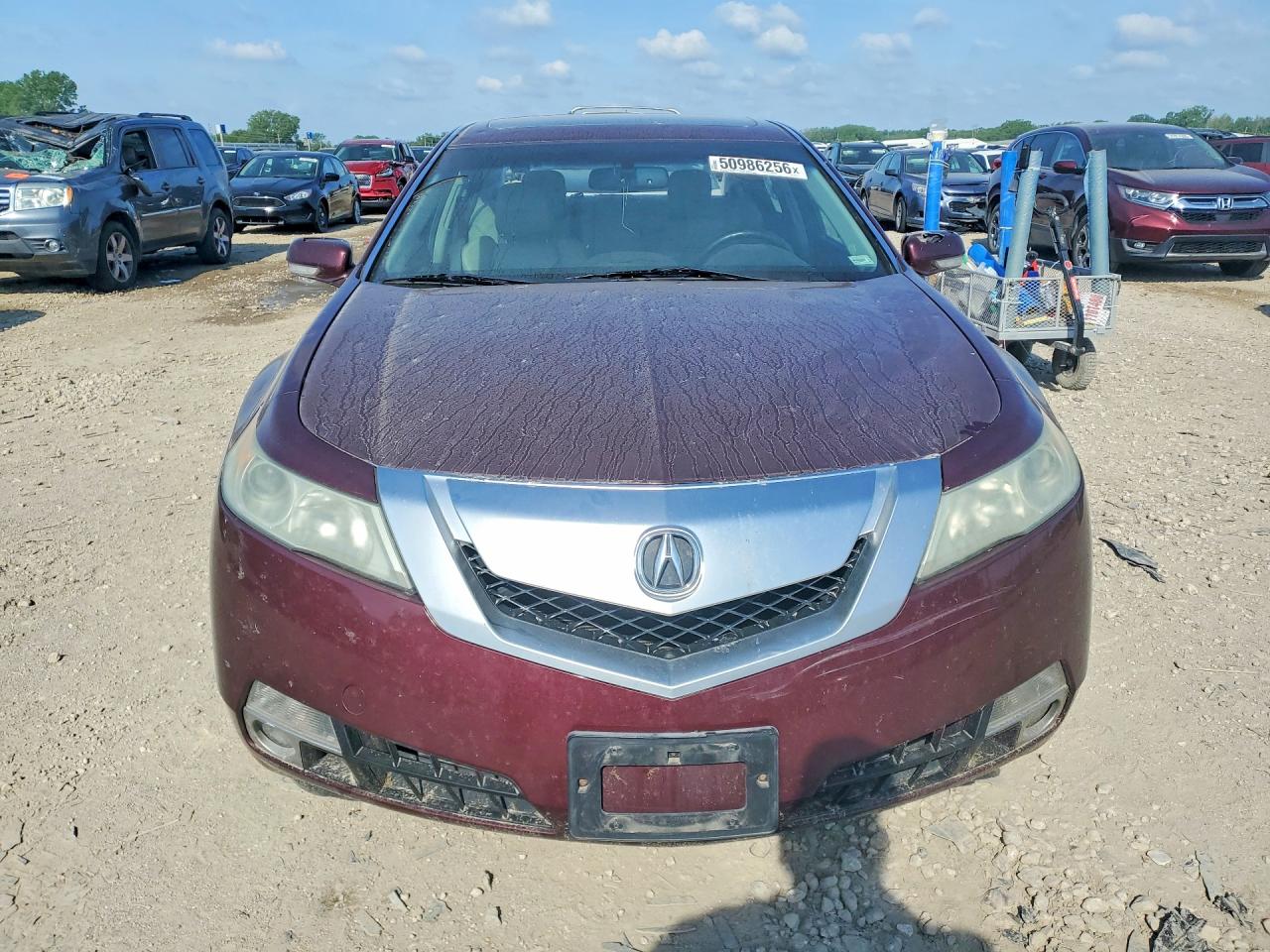 2010 Acura Tl Темно-бордовый vin: 19UUA9F23AA001233