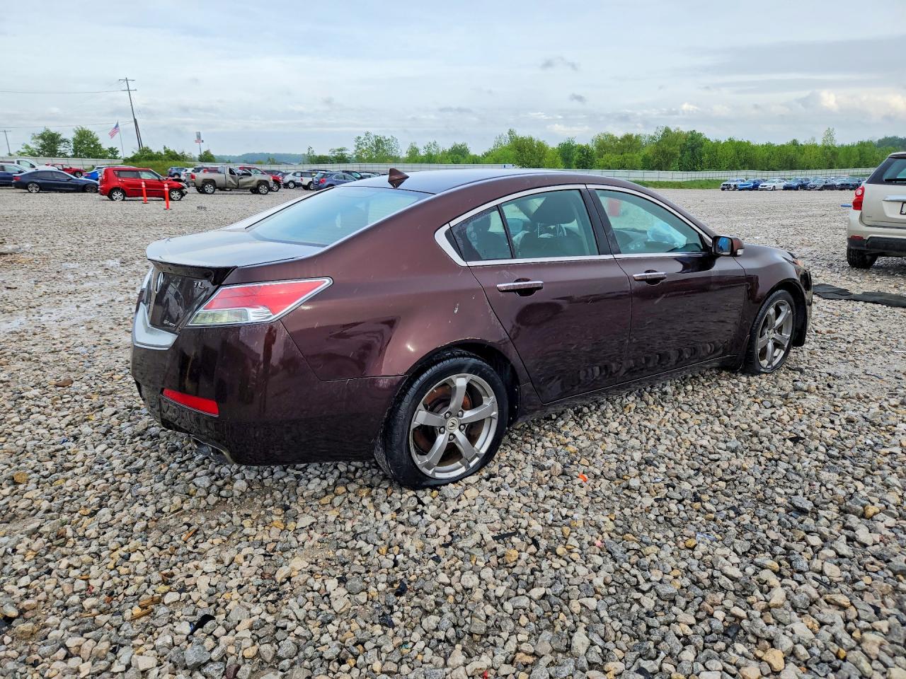 2010 Acura Tl Brown vin: 19UUA9F50AA800607