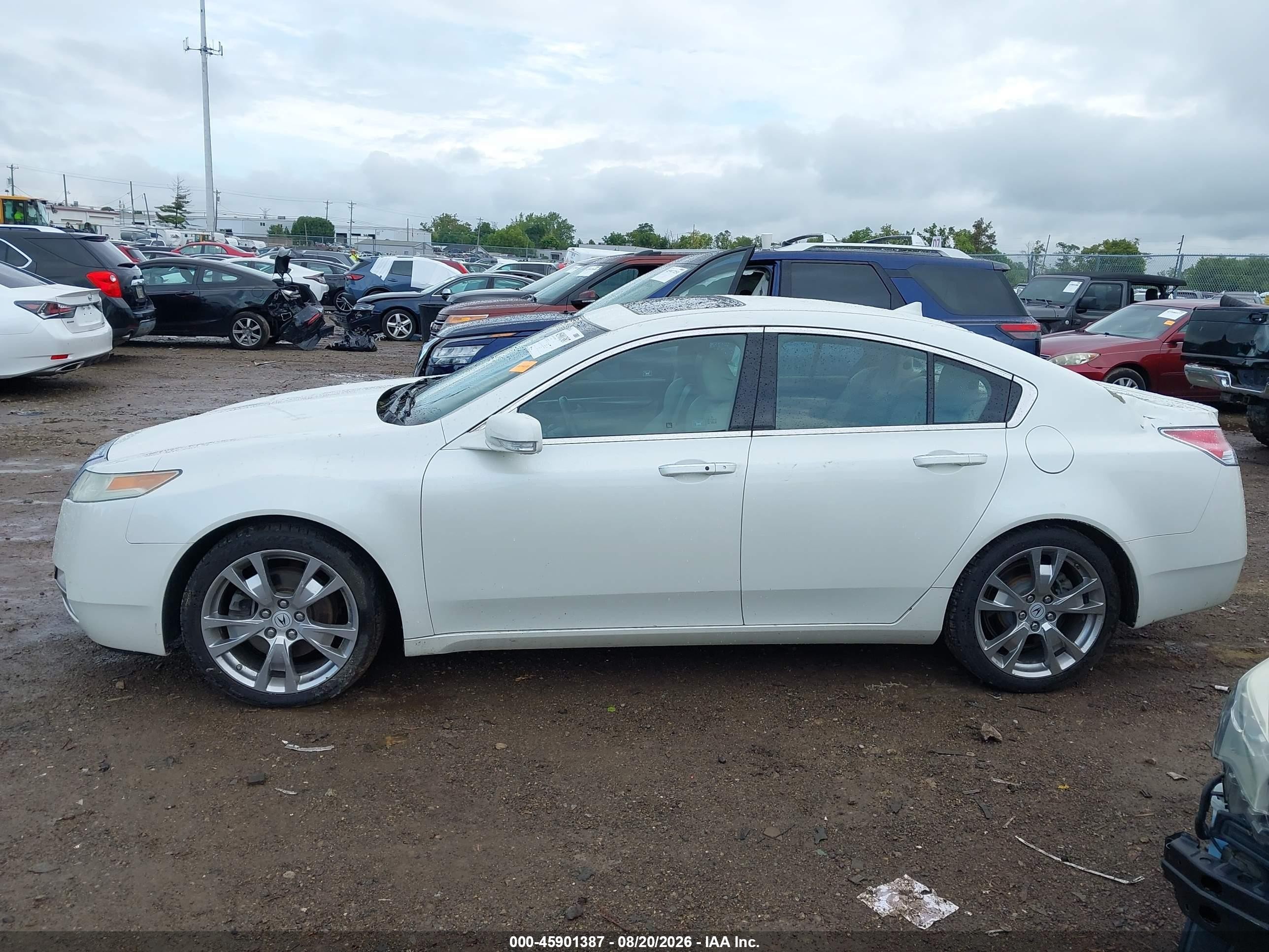 2010 Acura Tl 3.7 White vin: 19UUA9F51AA000947