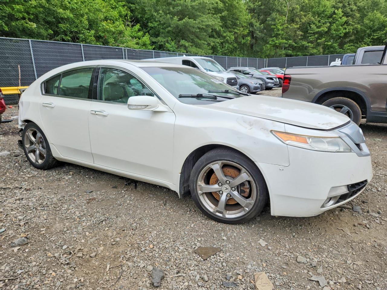 2010 Acura Tl Белый vin: 19UUA9F51AA004061